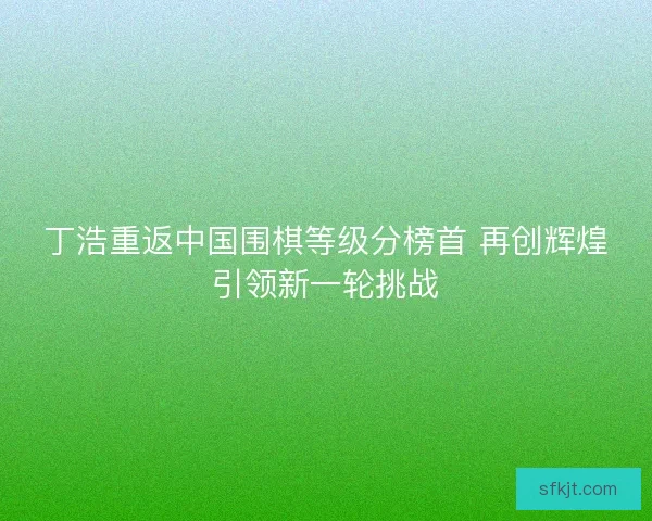 丁浩重返中国围棋等级分榜首 再创辉煌引领新一轮挑战