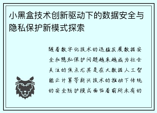 小黑盒技术创新驱动下的数据安全与隐私保护新模式探索 小黑盒技术创新驱动下的数据安全与隐私保护新模式探索